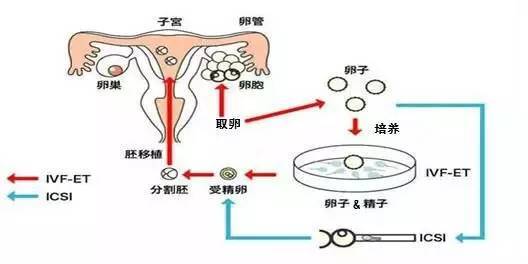 股票配资入门